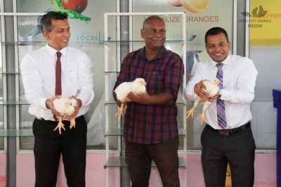 އައްޑޫގެ ފުރަތަމަ ކުކުޅު ފާމްއިން ކުކުޅު ވިއްކަނީ، ޑިމާންޑު ވަރަށް ބޮޑު