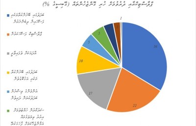 ޕްލާސްޓިކާ ބެހޭ ދިރާސާތަކުން ހައިރާންވާ ވަރުގެ އަދަދުތަކެއް!
