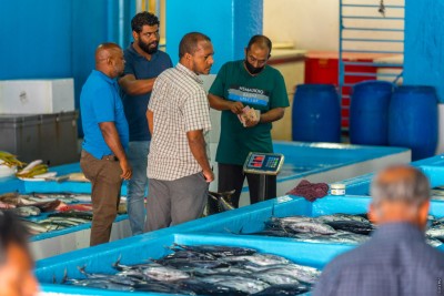 މަސް ތިޔާގިވެ، މަސް މާރުކޭޓުގެ އަގުތައް ދަށަށް