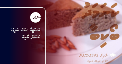 އެސްޓީއޯ ސަން ބަދިގެ: ކަނަމަދު ބޯކިބާ