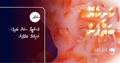 އެސްޓީއޯ ސަން ބަދިގެ: ކަށިކެޔޮ ބަތްޕެން