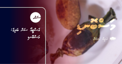 އެސްޓީއޯ ސަން ބަދިގެ: މަސްބޮނޑި