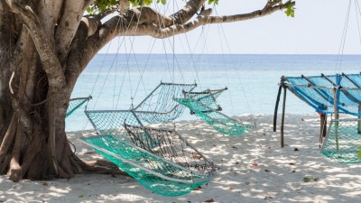 ކަނޑިތީމުގައި ތުއްތު ކުއްޖަކު މޫދުގައި މަރުވެފައި އޮއްވާ ފެނިއްޖެ