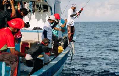 އުރީދޫގެ ނައިފަރު މަސް ރޭސް މިއަދު އޮންނާނެ