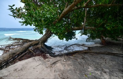 ރަށްގިރުމުގެ މައްސަލައަށް އަވަސްހައްލެއް ނެތް: އަސްލަމް