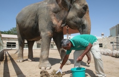 ކާބޯތަކެތި ލިބުން ދަތިވުމުން ޒިމްބާބްވޭގައި 200 އެތް ކަތިލަނީ