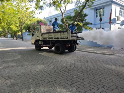 ޑެންގީ ފެތުރޭތީ މަދިރި ނައްތާލަން ޚާއްޞަ މަސައްކަތްތަކެއް ފަށައިފި