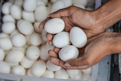 މުއްދަތު ހަމަވާ ތާރީހު އެނގޭގޮތަށް ބިސް ވިއްކަން އަންގައިފި