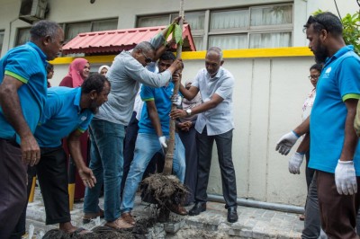 އެއްލައްކަ ގަސް ޕްރޮގްރާމްގެ ދަށުން ކަނބާއައިސާ ރަނި ހިނގުމުގައި 10 ގަސް އިންދައިފި