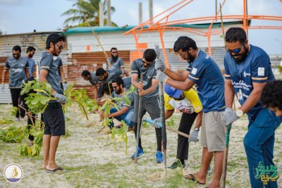 ''ފިނި ފެހި ސިޓީ''ގެ ދަށުން ކުޅުދުއްފުށީގައި 900 ގަސް އިންދައިފި