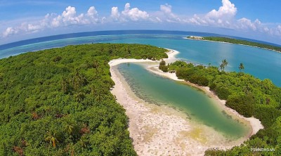 ރުއްގަސް ކެނޑުމާއި އެއް ތަނުން އަނެއް ތަނަށް ގެންދިޔުން ބެލެހެއްޓުމަށް އާ ގަވާއިދެއް