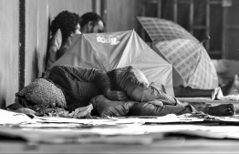 ފްލެމިންގޯ އަށް ވުރެ އަހަރެމެންގެ ނަސީބު ދެރަ؟