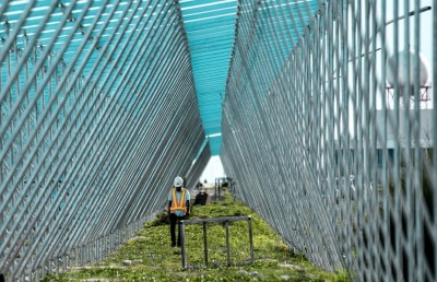 ހަސަން ހަމީދު ހުށަހަޅުއްވާ ހައްލު؛ ސޯލާ ޕެނަލްތައް ބަހައްޓަންވީ މަގުގެ މަތީގައި!