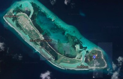 ފިޔަ ކޮށައި ވިއްކަން އުޅުނު ފްލެމިންގޯ އުޅެން ހާއްސަ ރަށެއް!