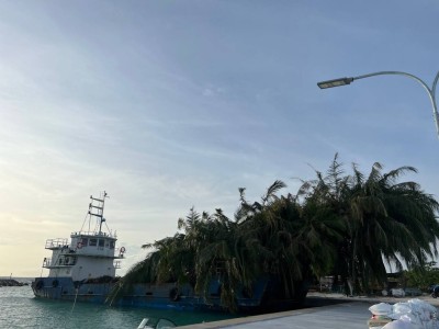 ބާޖަކަށް ރުއް އަރުވަން އުޅުމުގެ ތެރޭގައި ބިދޭސީއަކު މަރުވެއްޖެ