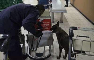 ޑޯގް ސްކޮޑާ އެކު ފުލުހުން އެއާޕޯޓުގައި ހަރަކާތްތެރިވަނީ