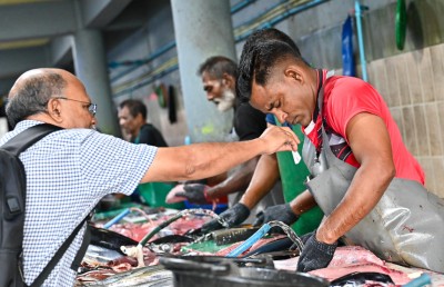 މަސްވެރިންނަށް މި މަހު 17 މިލިއަން ރުފިޔާ ޖަމާކޮށްފި