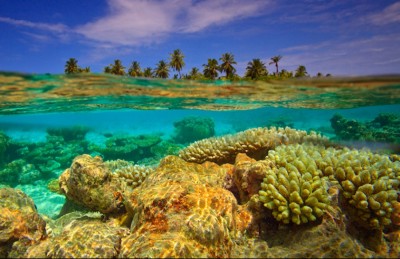 މުރަކަ އާލާވެ ރާއްޖޭގެ ފަރުތައް އިއާދަވާ ކަމުުގެ ނިޝާންތައް ފެނިއްޖެ