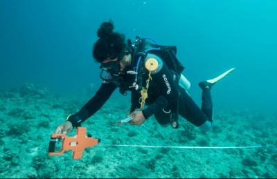 މުރަކަ އާލާވެ ރާއްޖޭގެ ފަރުތައް އިއާދަވާ ކަމުުގެ ނިޝާންތައް ފެނިއްޖެ