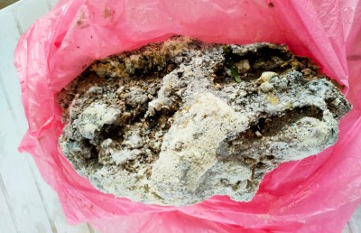 "ސެންސް މޭކް" ކޮށްލި ޗިންއަށް މާފުށިން ހުދަންބަރެއް ފެނިއްޖެ