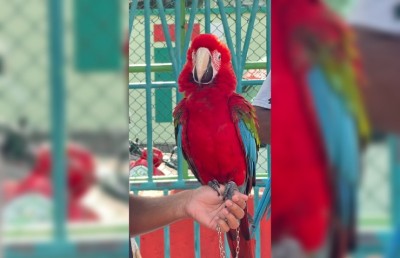 90،000ރ. ގެ މަކާއުއެއް ގެއްލިގެން އިނާމަކަށް 25،000ރ.