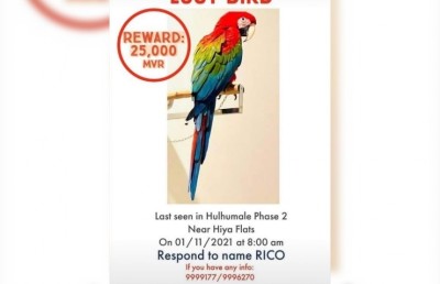 90،000ރ. ގެ މަކާއުއެއް ގެއްލިގެން އިނާމަކަށް 25،000ރ.