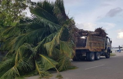 ގަވާއިދާ ހިލާފަށް ކުޑަހުވަދޫން ރުއްތަކެއް ބޭރުކުރަނިކޮށް ހުއްޓުވުން؛ ތުހުމަތު ކައުންސިލްގެ ރައީސަށް