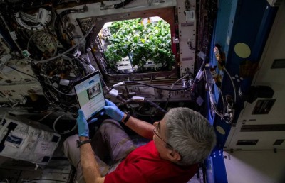 ޖައްވީ ސްޓޭޝަންގައި މިރުސް ވެސް ހައްދައިގެން ކައިފި