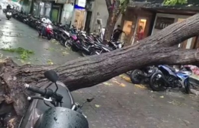 މާވެޔޮ މަގުން ބޮޑު ގަހެއް ވެއްޓި މަގު ބަންދު، ވެހިކަލްތަކަށް ވެސް ގެއްލުންވި