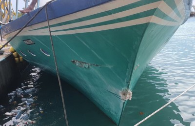 މަސް ކިރުވަން ވަން ދޯންޏެއް ކޮންޓްރޯލުން ނެއްޓި ކޫއްޑޫގެ ތޮށިމައްޗަށް