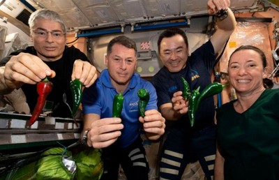 ޖައްވުގައި މިރުސް ހެއްދި އެސްޓްރޮނޯޓުން ނެޕީގައި ދުނިޔެ އަށް