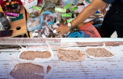 އިމިގްރޭޝަނުން 800 އަށްވުރެ ގިނަ ބިދޭސީން ހިފަހައްޓައިފި