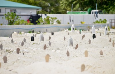 ކޮވިޑުގައި ދެ މަހުގެ ކުއްޖަކު ނިޔާވެއްޖެ