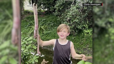 ނިއުޒިލެންޑުގެ ގެއަކުން އާދަޔާހިލާފު ބޮޑު ކިލާފަންޏެއް ފެނިއްޖެ