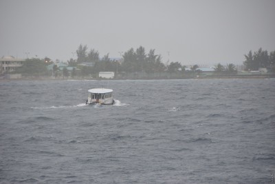 ވިއްސާރަ އަލިވާނީ އަންނަ ބުރާސްފަތި ދުވަހުން ފެށިގެން: މެޓް