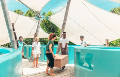 ވެލަޔަށް ފަރުވާދޭ ސެންޓަރެއް ސޮނެވާ ޖާނީގައި ހުޅުވައިފި