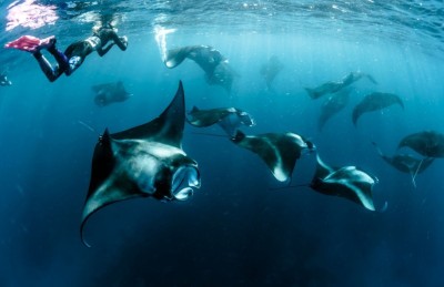 ހިމާޔަތްކޮށްފައިވާ 93 ސަރަހައްދުގެ ތެރެއިން ބެލެހެއްޓެނީ އެންމެ ފަސް ތަނެއް!