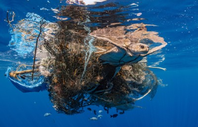 ވެލަޔަށް ފަރުވާދޭ ސެންޓަރެއް ސޮނެވާ ޖާނީގައި ހުޅުވައިފި