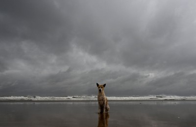 ތޫފާން "ޑާނާ"ގެ ބާރުގަދަވުމުން އިންޑިއާގައި މިލިއަނަކަށް ވުރެ ގިނަ މީހުން ރައްކާތެރި ހިސާބުތަކަށް