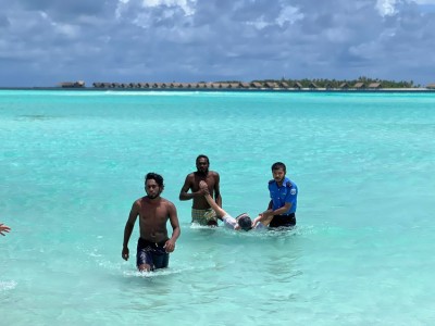 ޔުނީފޯމާއެކު މޫދަށް އެރި ޓޫރިސްޓް ސަލާމަތް ކުރުމުން ތައުރީފު!
