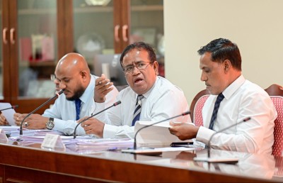މުސާރަ ކުޑަ ކުރާއިރު، ޕްރޮފެޝަނަލް މުވައްޒަފުން އިސްތިސްނާވާނެ: ޒަމީރު