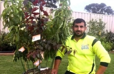 އެއް ގަހަކުން 10 ވައްތަރެއްގެ މޭވާ، މިއީ ރެކޯޑެއް