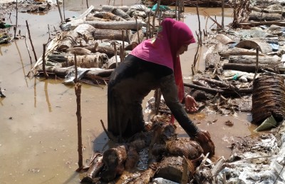 ޖާގަ އޮތީ ތަރައްގީ އަށް: ކުޅުދުއްފުށީ ބޮނބިފާތަކަކަށް ނޫން!