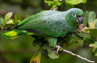 އެތެރެކުރުން މަނާ ގިނަ އަދަދެއްގެ ދޫނި ކަސްޓަމްްސް އިން ހިފަހައްޓައިފި