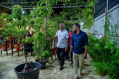 މާލޭ ސިޓީ ކައުންސިލުން ގަސް ވިއްކާ ފިހާރައެއް ހުޅުވައިފި