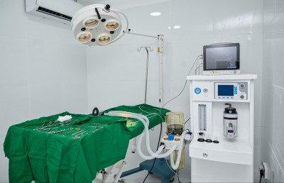 ވިޔަފާރީގެ ބޭނުމަށް ބުޅާ އެތެރެކުރުން ވަގުތީ ގޮތުން މަނާކުރަނީ