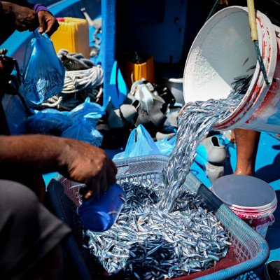 ފޮޓޯ ސްޓޯރީ: ހުރިހާ އެމެއް ކަހާލައިގެން ގެނެސް މިއޮއް ވިއްކަނީ