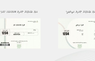 ސެކިއުރިޓީ ފީޗާ ހިމެނޭ ޑޮމެއިން ބީލަމުގެ އުސޫލުން ވިއްކަން ފަށަނީ