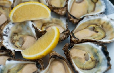 ރާއްޖެ އެތެރެކުރާ އިތާގެ ބާވަތެއް ވިއްކުން މަނާކޮށްފި