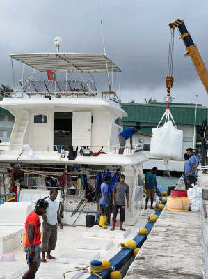 ކީކިމިނީ އަށް ކަޅުބިލަ މަހާއި ކަންނެލި ގަންނަނީ